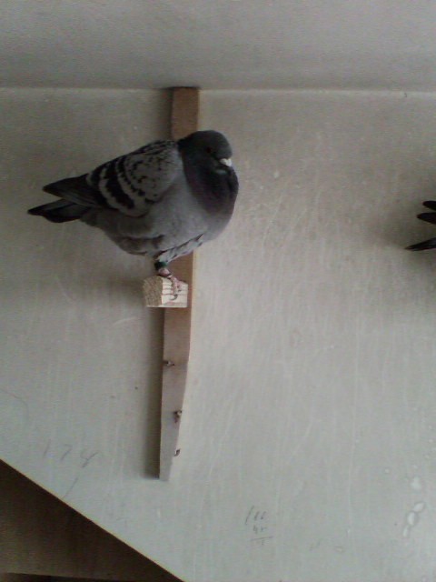 06��1000����ָ������܊