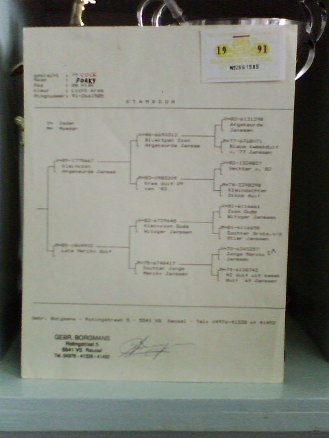 Ѫ�y(t��ng)��