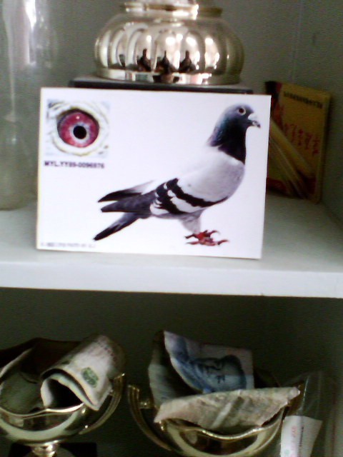 �������\����܊