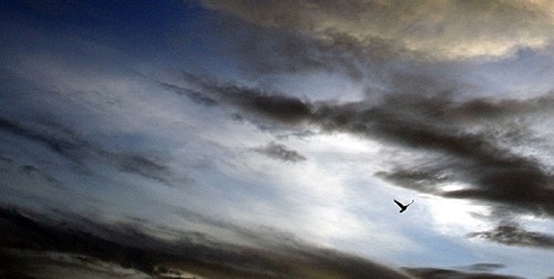 ���ā�(l��i)�ԏ�(qi��ng)�����ĳ�����_��������̌�(sh��)�F(xi��n)