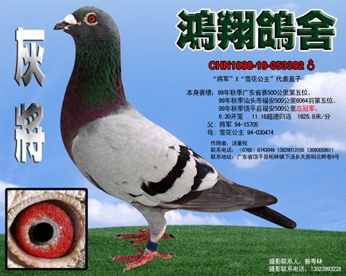 ������֮���游�Ҍ�