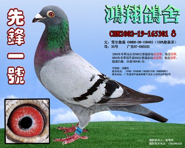 ǰ�hһ̖֮���游���hһ̖