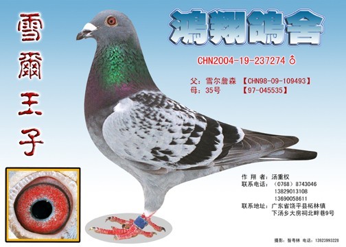 ǰ�hһ̖֮��ѩ������